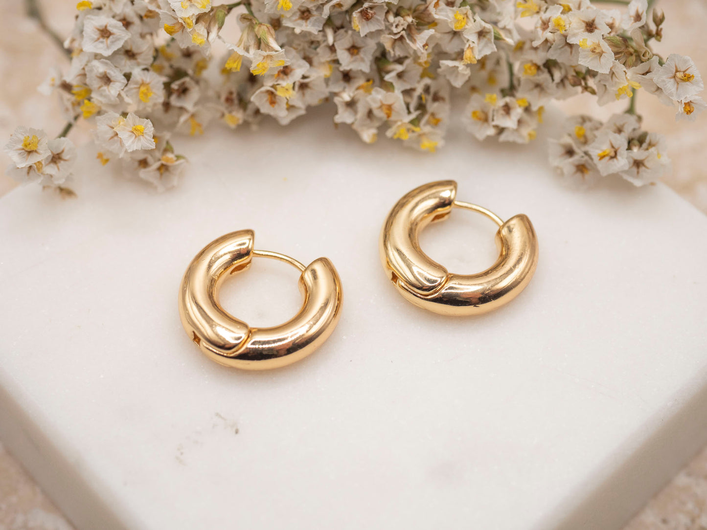 BOUCLES D'OREILLES RAPHAËLLE