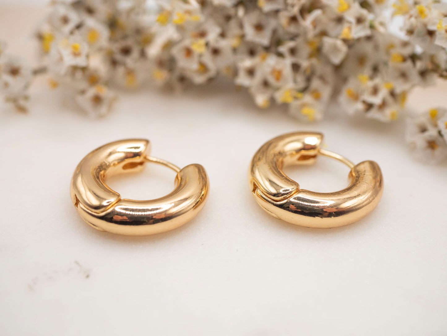BOUCLES D'OREILLES RAPHAËLLE