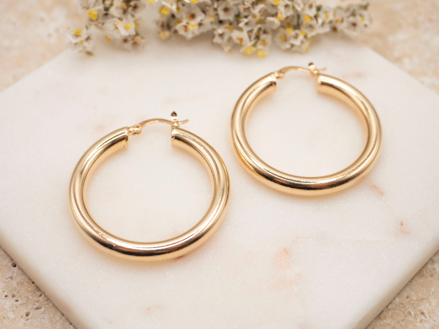 BOUCLES D'OREILLES ALICIA