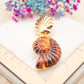 Boucles d'oreilles Coquillage Ambré
