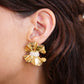 Boucles d'oreilles Goldie