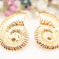 Boucles d'oreilles Nautilus