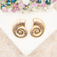 Boucles d'oreilles Nautilus