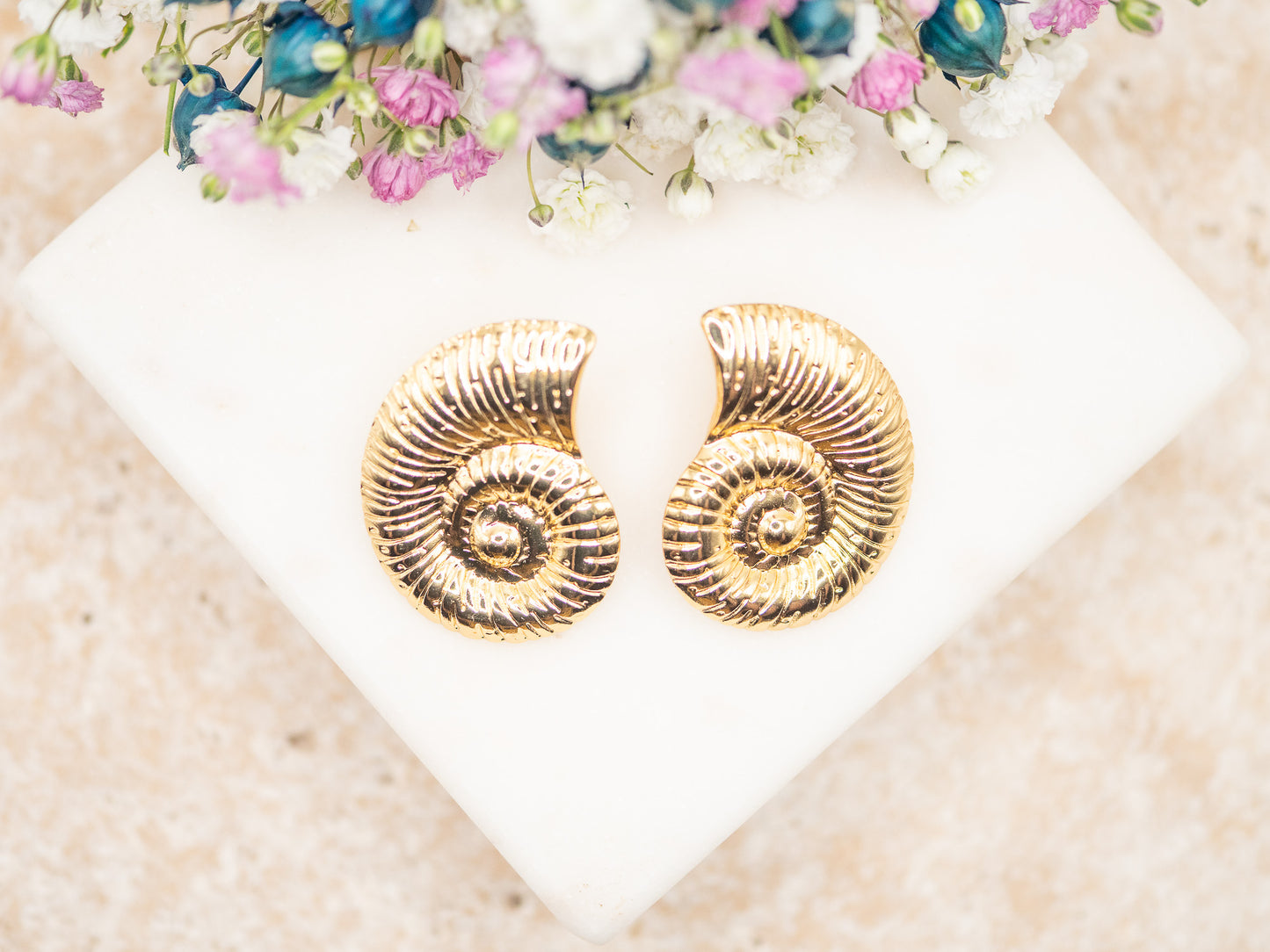 Boucles d'oreilles Nautilus