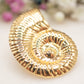 Boucles d'oreilles Nautilus