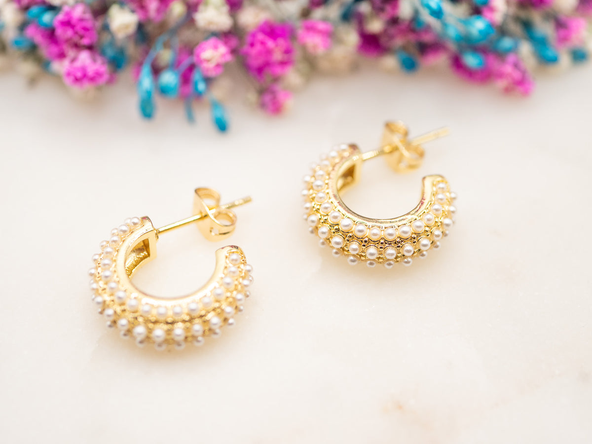 Boucles d'oreilles Arc Avenia