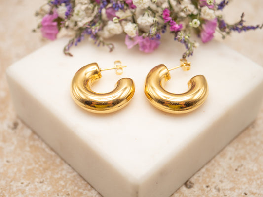 Boucles d'oreilles Anita