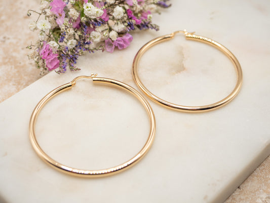 BOUCLES D'OREILLES BELMONT