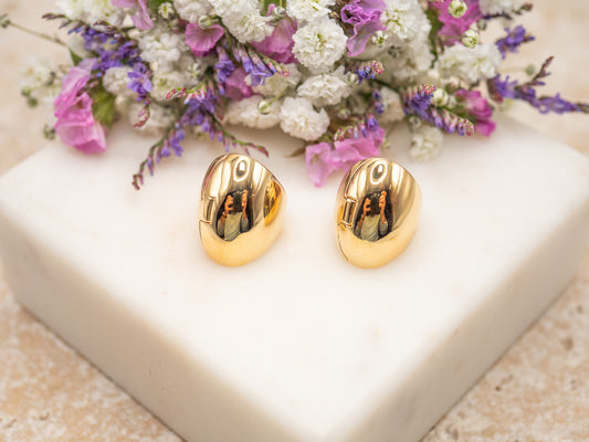 Boucles d'oreilles Roxy