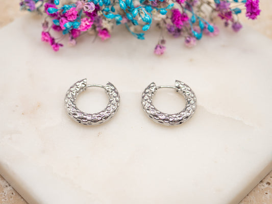 Boucles d'oreilles Écaille Miroitée
