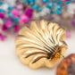 Boucles d'oreilles Coquillage Ambré