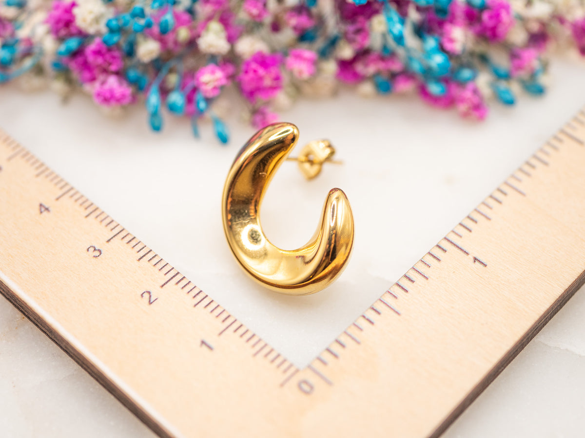 Boucles d'oreilles Courbe Mioréa